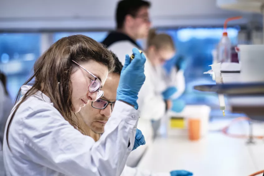 Students in laboratory studying samples. Photo.